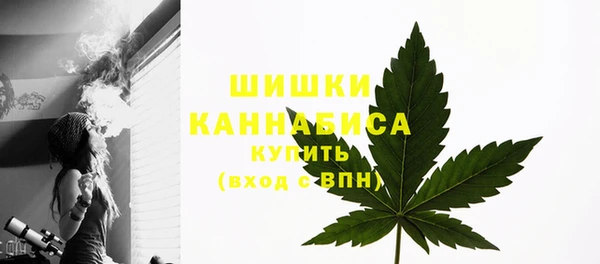 эйфоретик Майский