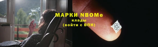 a pvp Магас