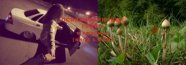 каннабис Магадан